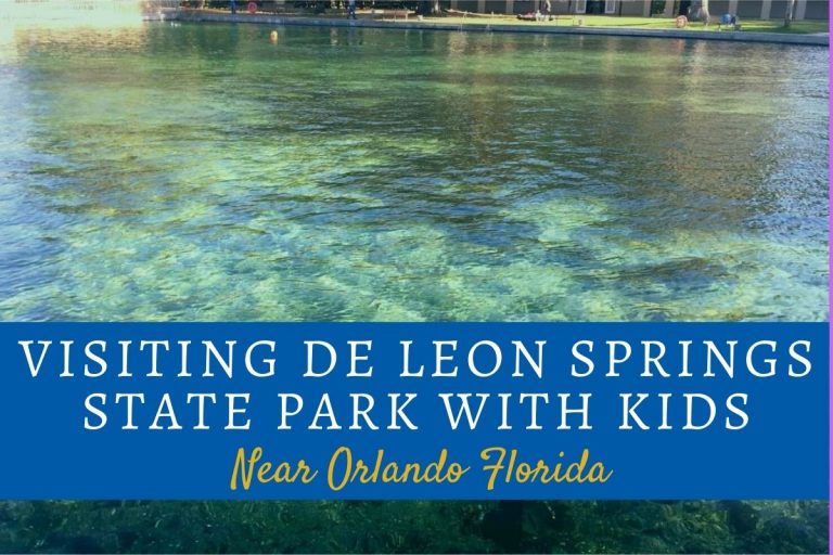 Visiting De Leon Springs State Park With Kids