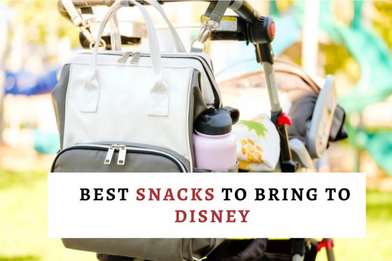 Best Snacks to Bring to Disney cooler bag on stroller